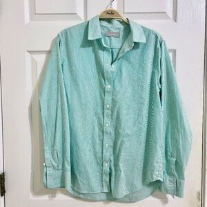 Everlane Silky Cotton Relaxed Shirt - Mint Striped